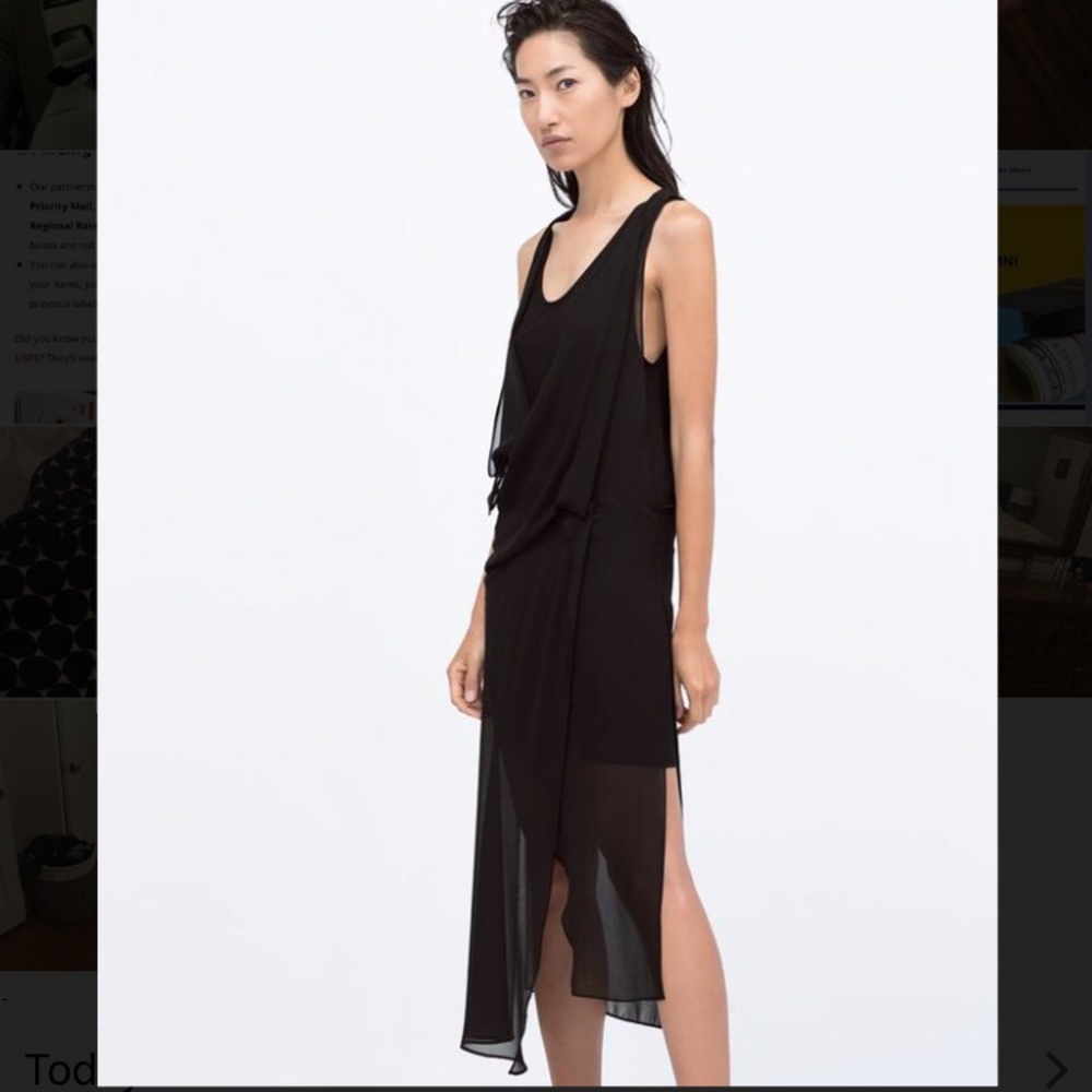 Zara Sheer Overlay Dress